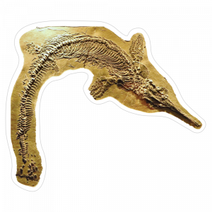 un immagine di Mixosaurus