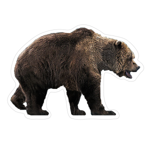 un immagine di Orso delle caverne